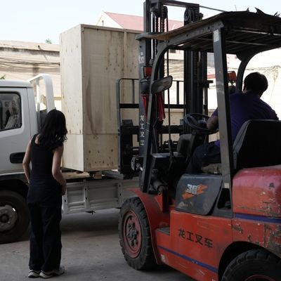 পোষা কুকুর বিড়াল ফিশ ফিড এক্সট্রুডার পশু ফিড ফিড প্রক্রিয়াকরণের জন্য পেলেট মেশিন