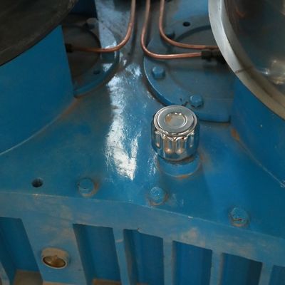 বায়োমাস কাঠের করাত ধানের তুষের খড়ের জন্য উচ্চ দক্ষতার কাঠের পেলেট মিল