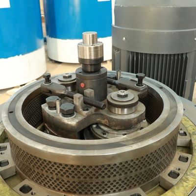 আলফালফা ব্যাগাস বায়োফুয়েল প্লাস্টিক পেলেট মেকিং মেশিন 5000kg/ H 2mm