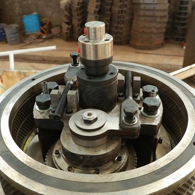 ফুয়েল ইউক্যালিপটাস কাঠের ছোরা মেশিন উল্লম্ব রিং ডাই 3t/এইচ