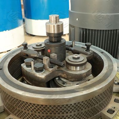 ডাবল লেয়ার কফি বায়োমাস উড পেলেট মেশিন 0.6 মিমি 1500 কেজি/এইচ