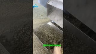 #fishfeedmachine প্যাক করার আগে 200kg/h ভাসমান ফিশ ফিড পেলেট এক্সট্রুডার মেশিন টেস্টিং