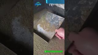 চিংড়ি ফিড পেলেট মিল | ফ্যাক্টরি ফিনিশড প্রোডাক্ট প্রোডাকশন ডেমো#ফিড পেলেট মেশিন
